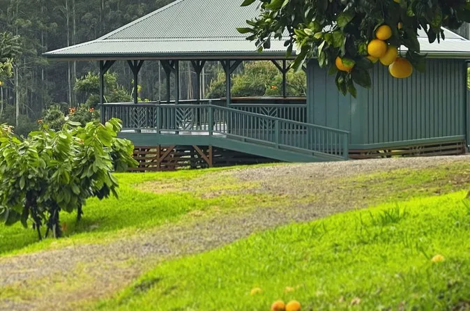 Un edificio verde de finca con un amplio lanai cubierto sobre un césped, con cítricos en primer plano